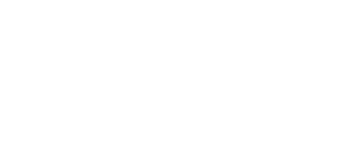 NHHS logo